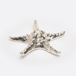Blue Pheasant Marlowe Starfish Shell Décor