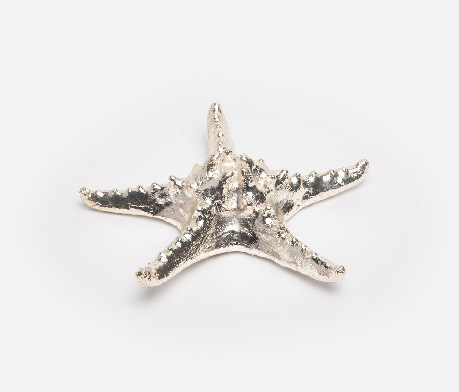 Blue Pheasant Marlowe Starfish Shell Décor