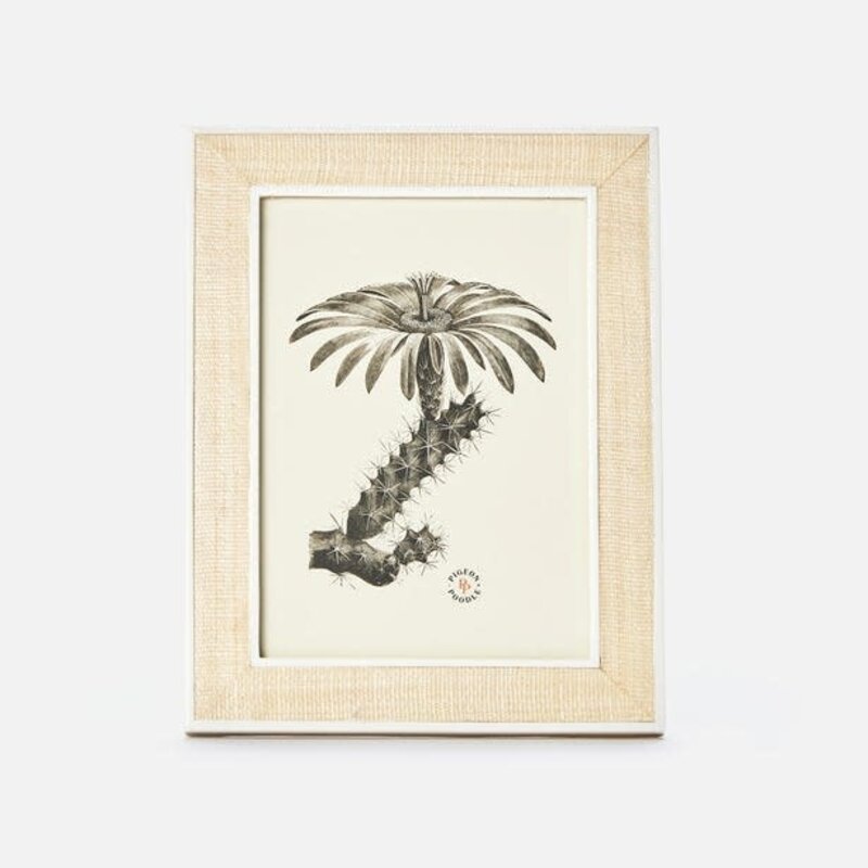 Pigeon & Poodle Aberdeen Frame Beige Abaca/White Resin