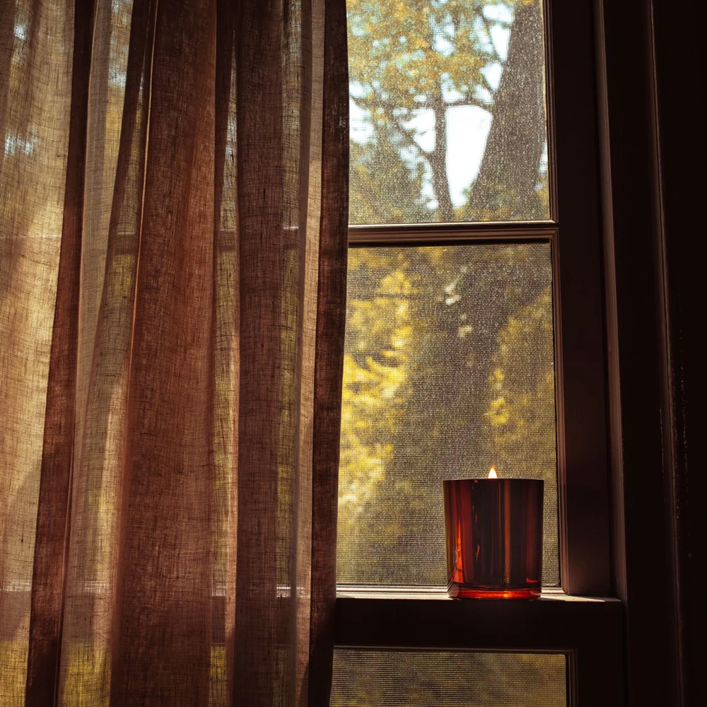 Apotheke Co. Pumpkin Ginger Classic Candle