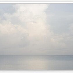 Left Bank Art Still 23.5 in x 23.5 in