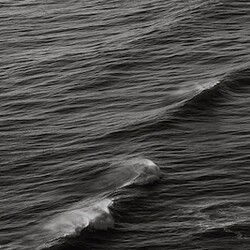 Left Bank Art Just Swell II 33.5 in x 48.75 in