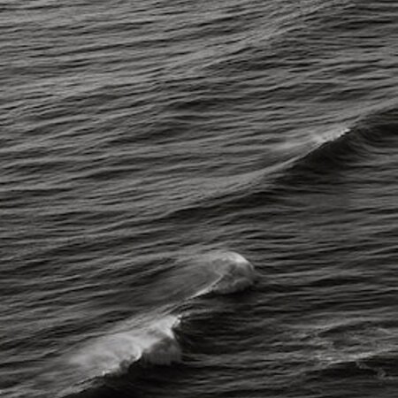 Left Bank Art Just Swell II 33.5 in x 48.75 in
