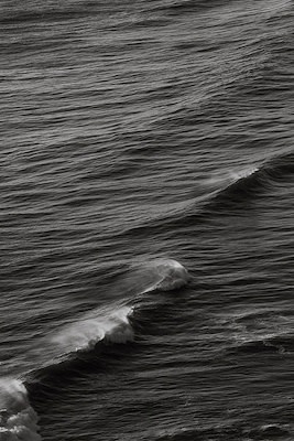 Left Bank Art Just Swell II 33.5 in x 48.75 in