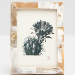 Pigeon & Poodle ESSEN, Natural, Frame, 5"x7", Horn