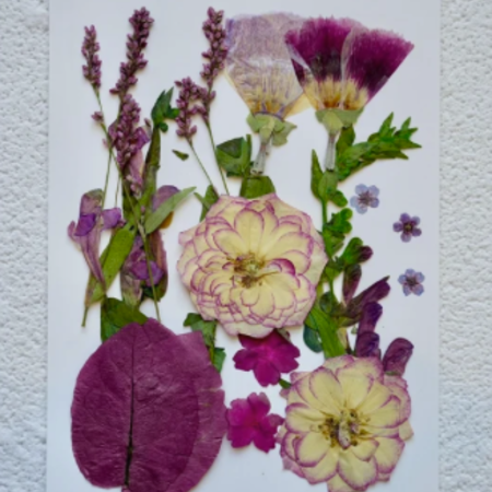 Faire Lavender Dreams Dried Floral Packet