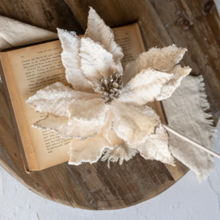 Ragon House 22" Cream Glittered Poinsettia Pick