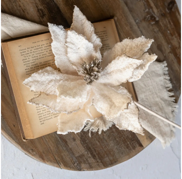 Ragon House 22" Cream Glittered Poinsettia Pick