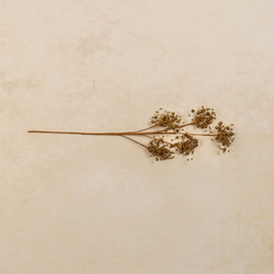 Ragon House Gold Beaded Pick