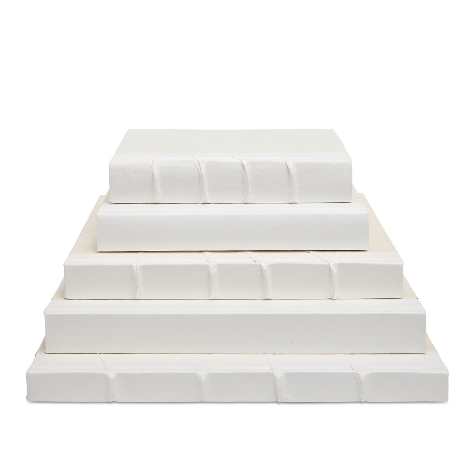 Regina Andrew Bismark Book Stack