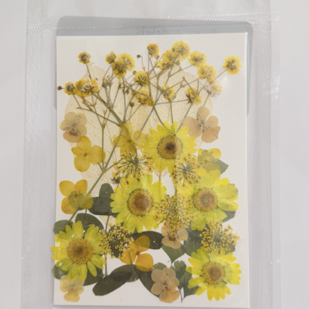 Radiant Petals Dried Floral Packet