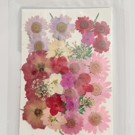 Eternal Blossom Dried Floral Packet