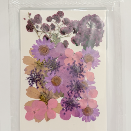 Violet Whisper Dried Floral Packet