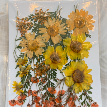 Bright and Bloom Dried Floral Packet