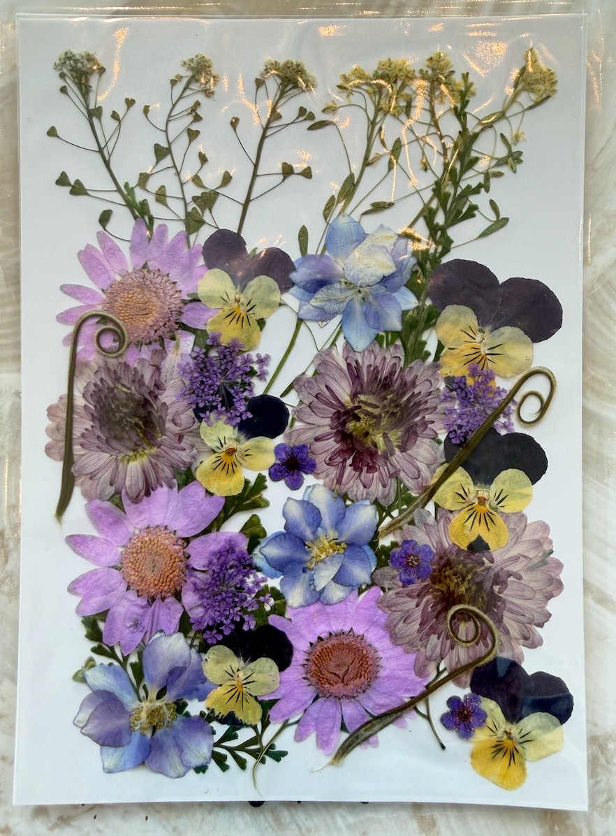 Purple Petals Dried Floral Packet