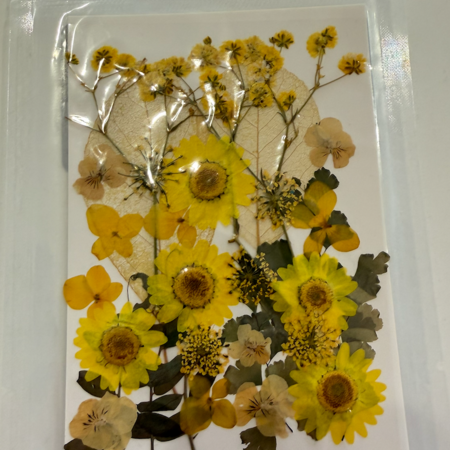 Radiant Petals Dried Floral Packet
