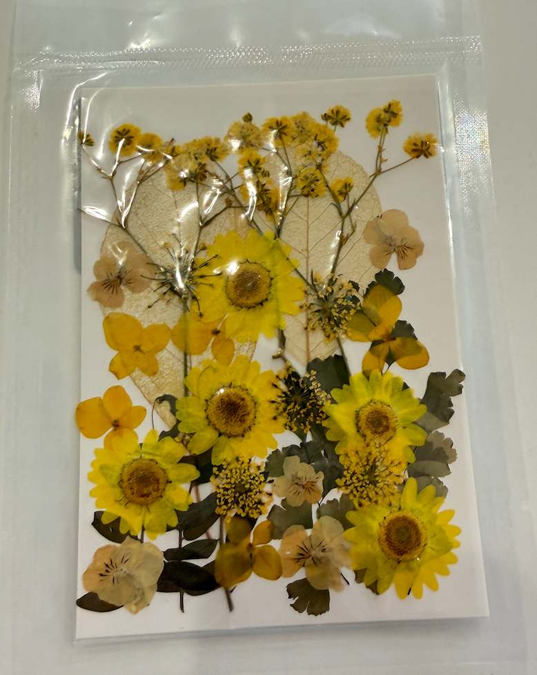 Radiant Petals Dried Floral Packet