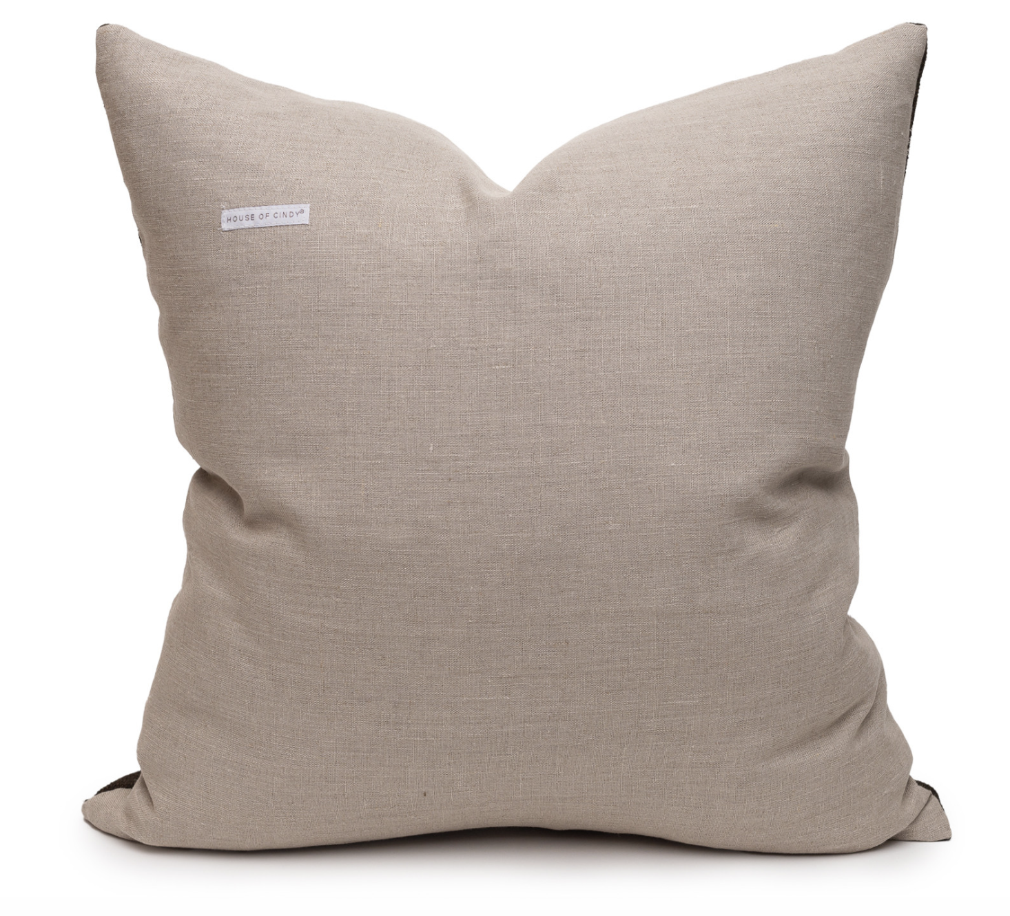 House of Cindy James Pillow Earth 20"x20"