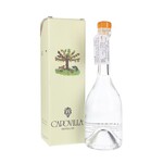 Capovilla Capovilla / Albicocche Apricot Brandy / 375mL