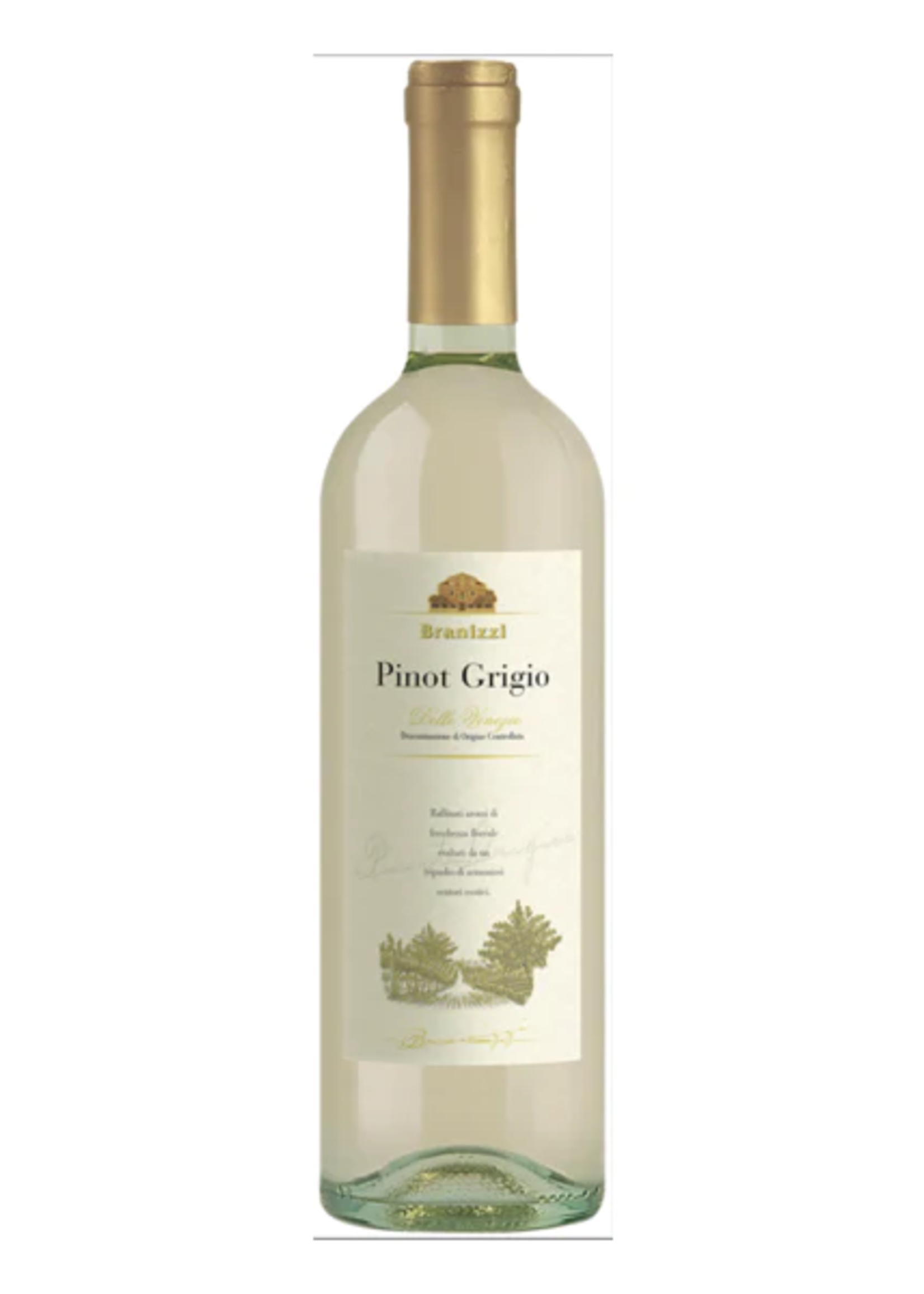 Branizzi Branizzi / Pinot Grigio / 750mL