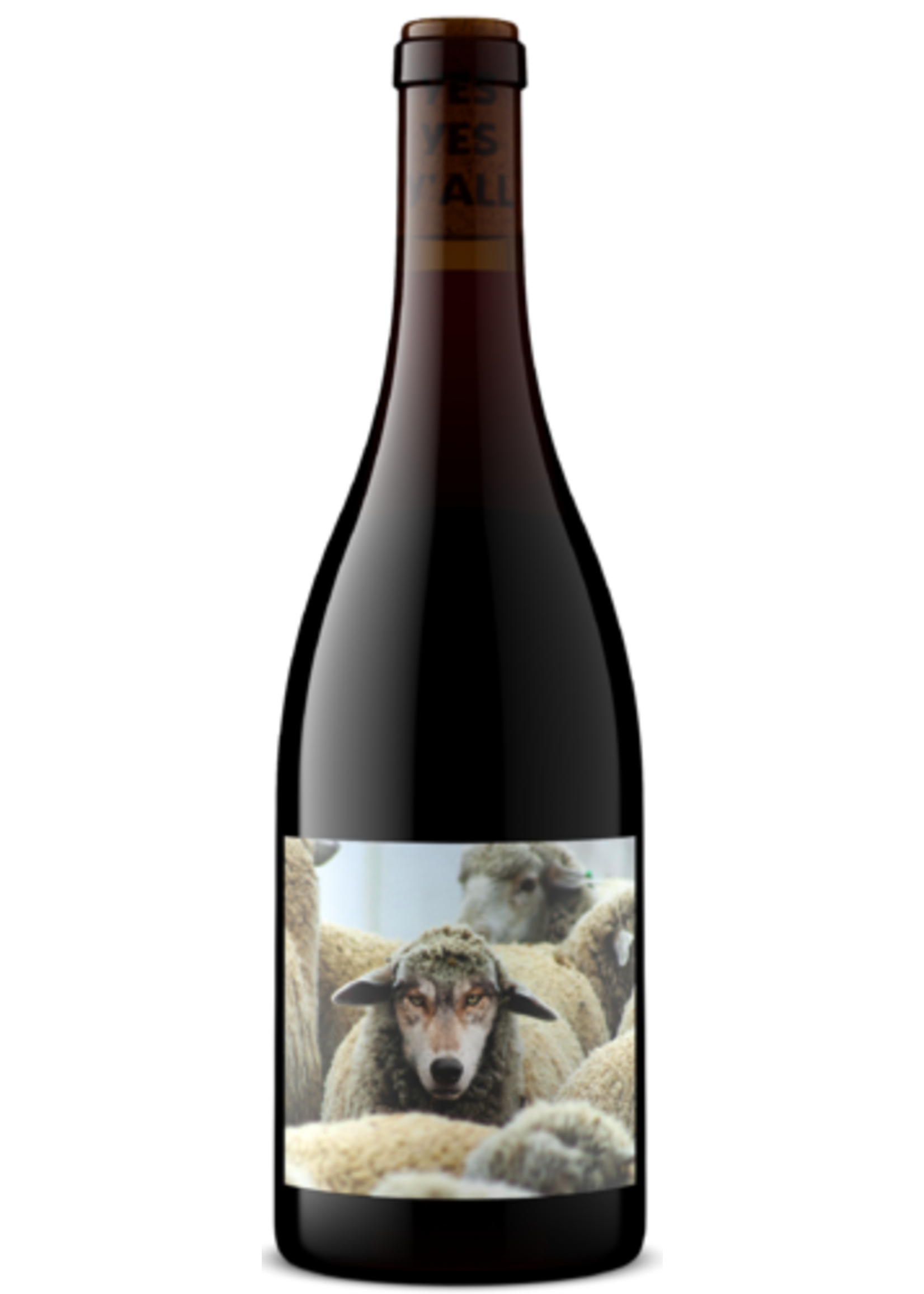 Maison Noir Maison Noir / In Sheep's Clothing Pinot Noir / 750mL