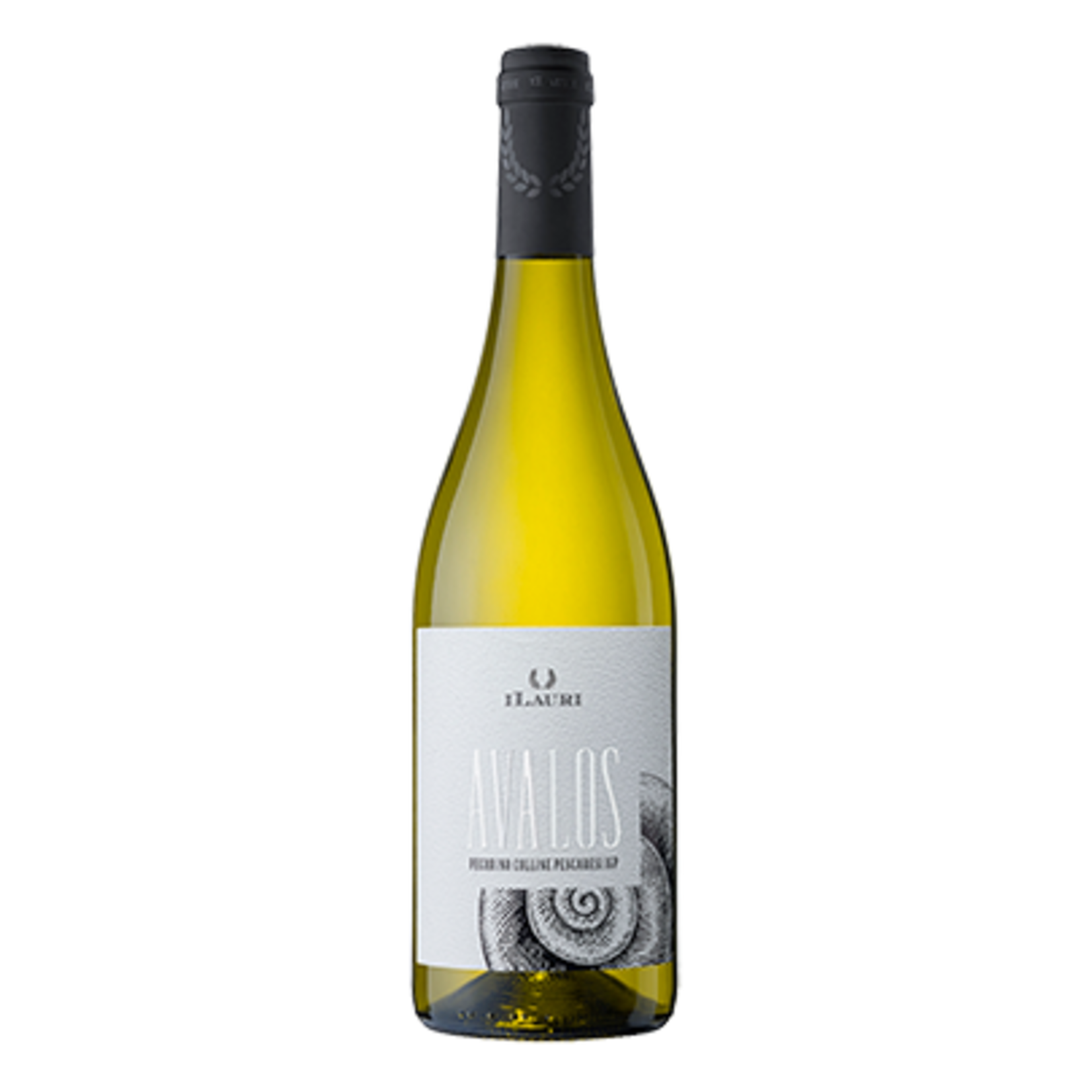Ilauri Ilauri / Abruzzo Pecorino Avalos / 750mL