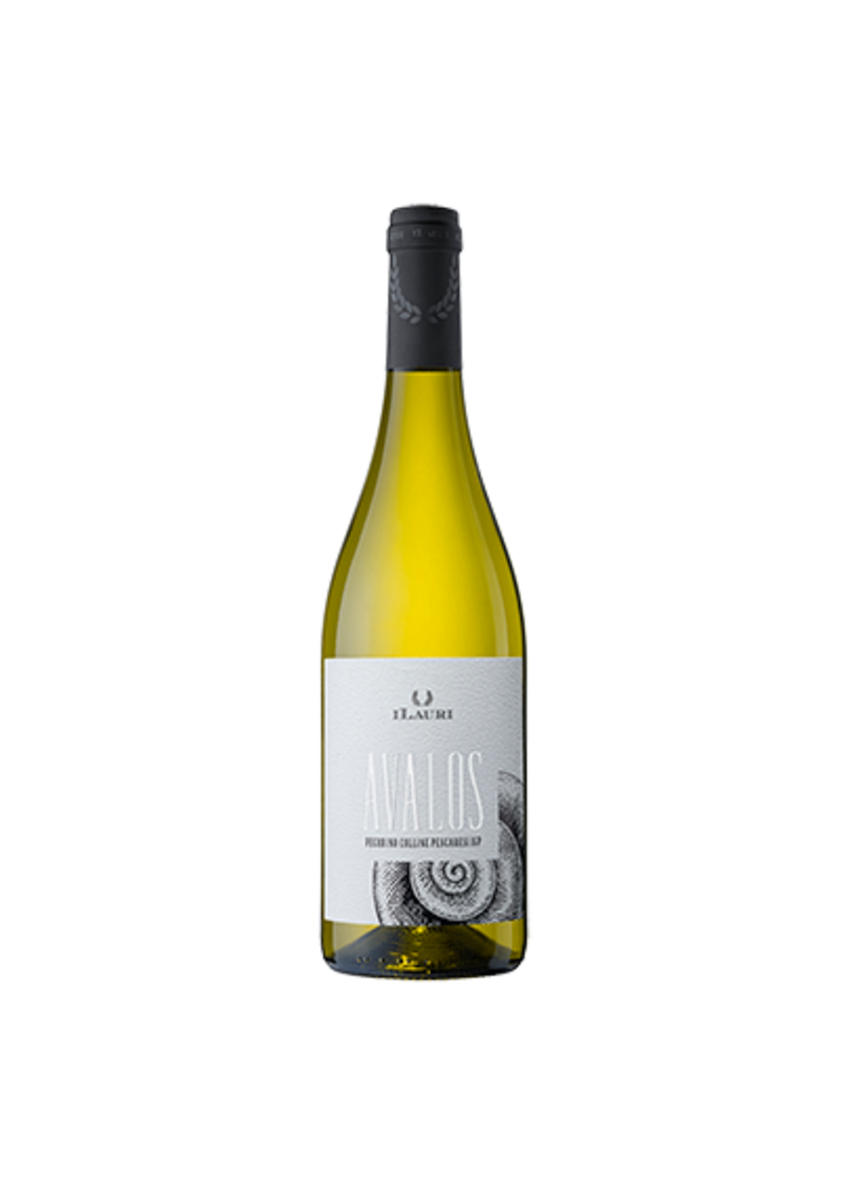 Ilauri Ilauri / Abruzzo Pecorino Avalos / 750mL