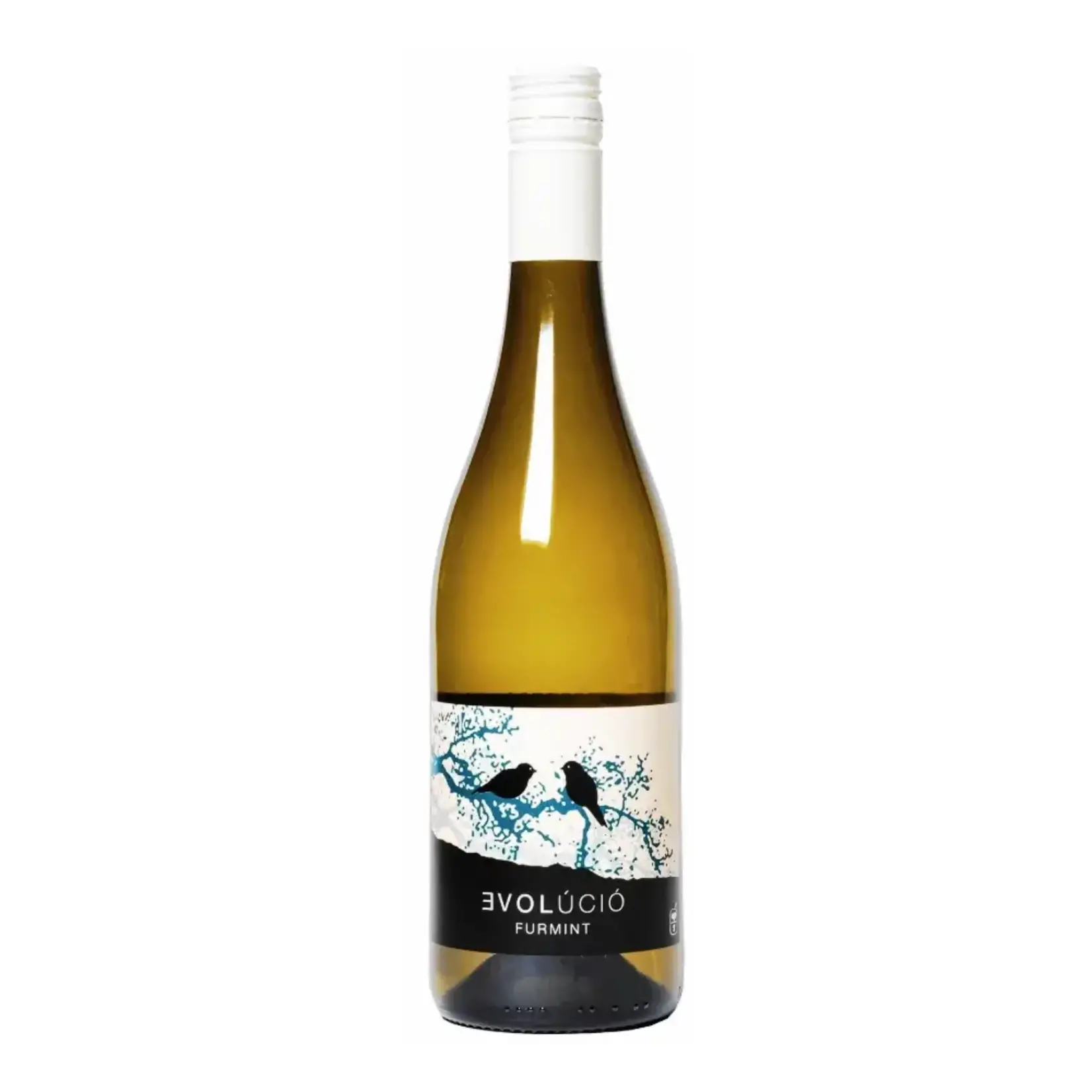 Evolucio Evolucio / Tokaj Frizzante / 750mL