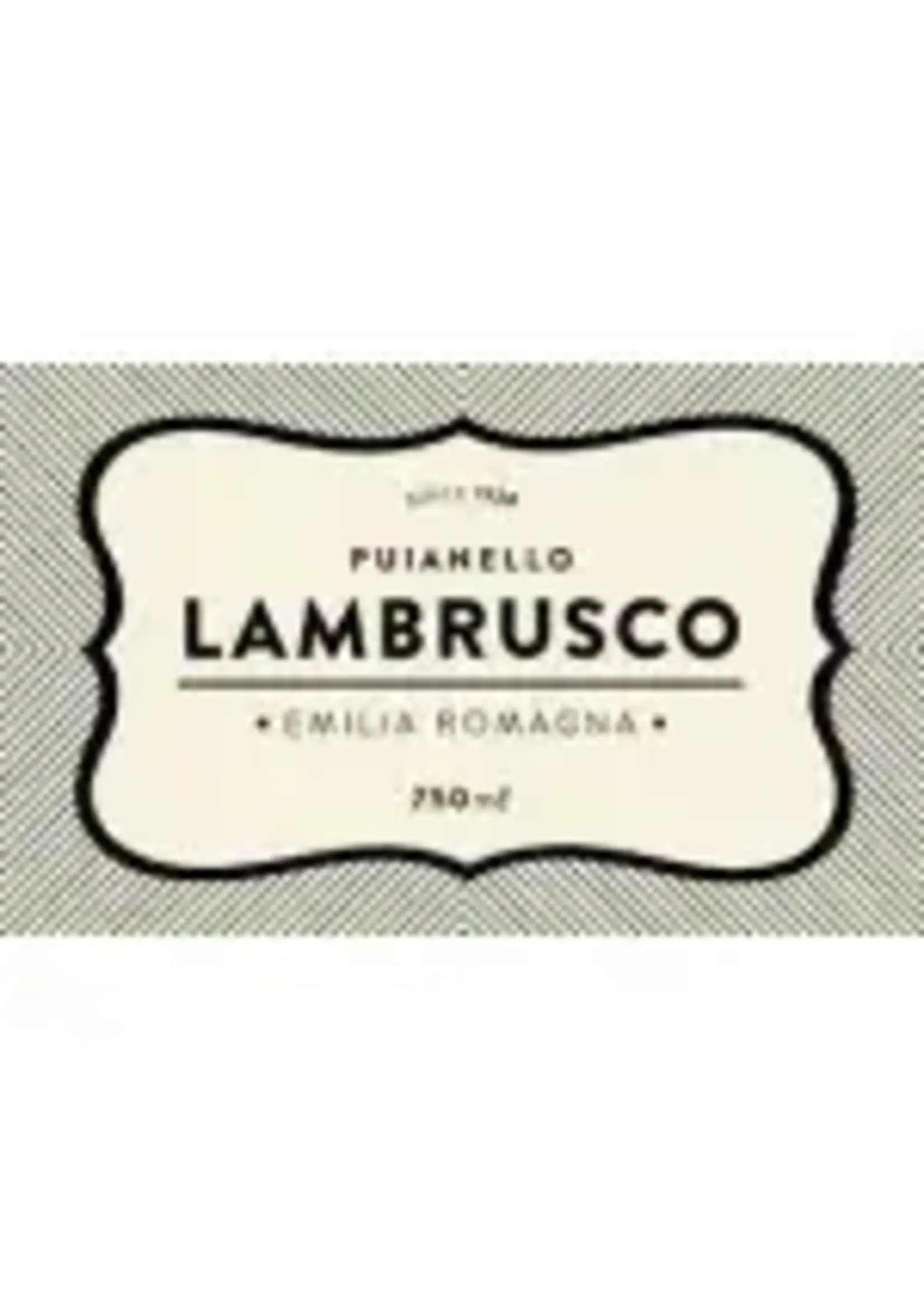 Puianello / Lambrusco Reggiano Secco / 750mL