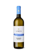 Cantine Iorio / Falanghina Beneventano IGT / 750mL