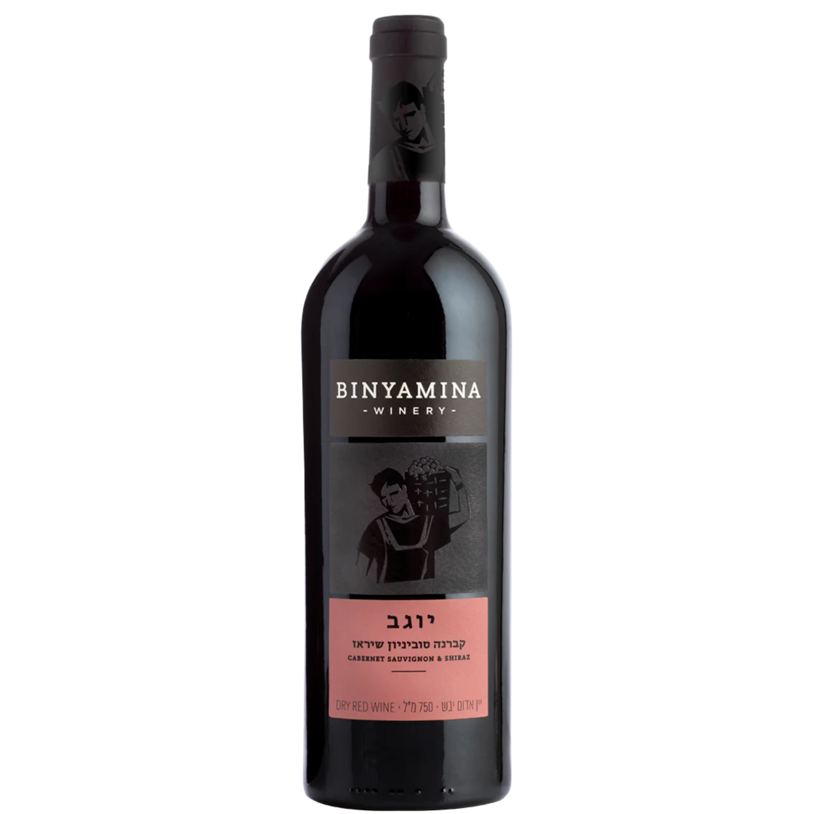 Binyamina Binyamina / Yogev Cabernet Sauvignon Shiraz / 750mL