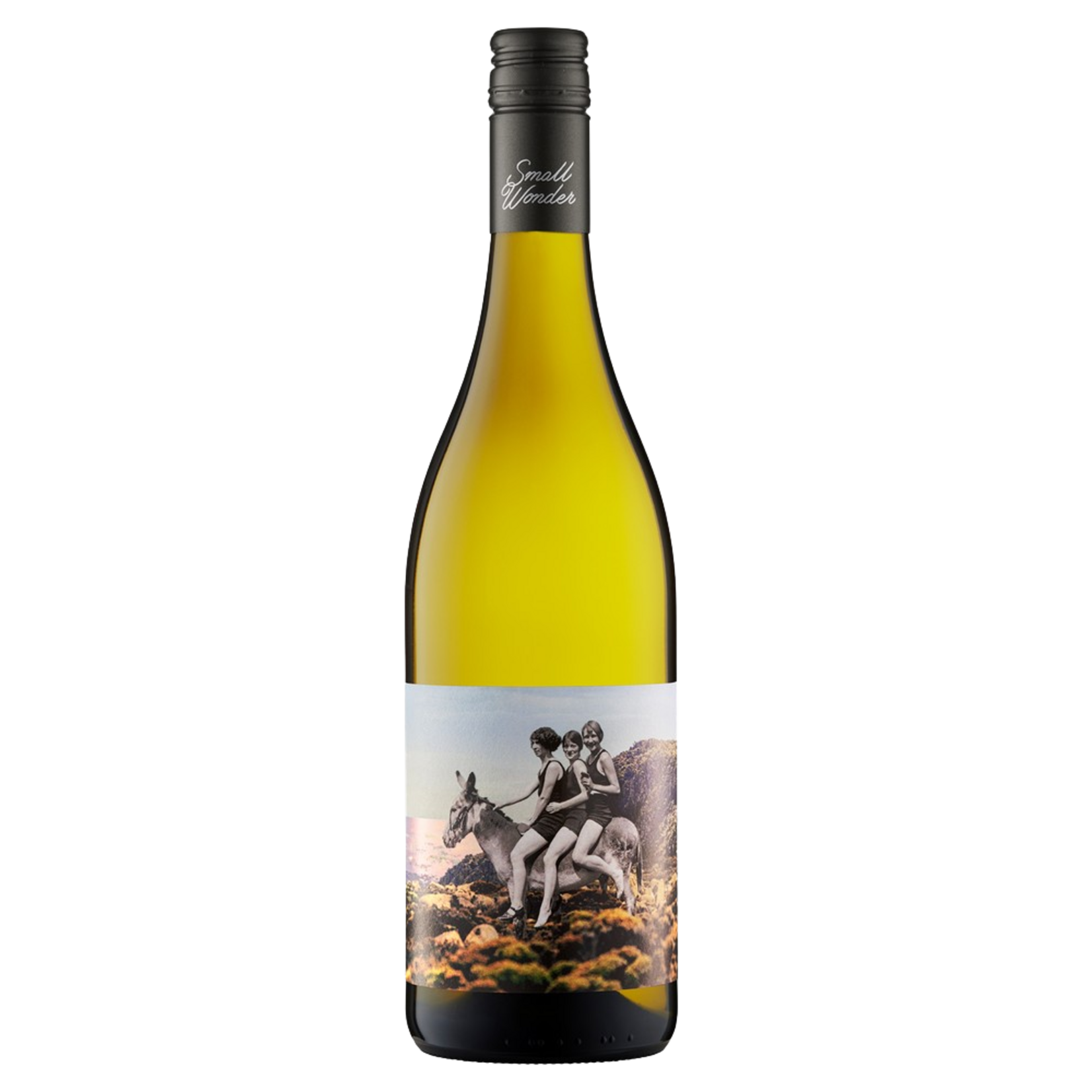 Small Wonder / Landscape Series Chardonnay / 750mL
