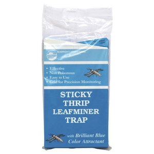 Seabright Sticky Thrip Leafminer Trap 5/Pack (80/Cs)