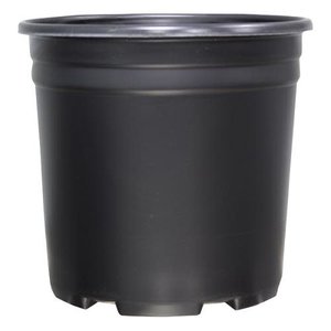 Pro Cal Thermoformed Nursery Pot 2 Gallon