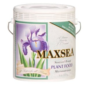 Maxsea Maxsea All Purpose Plant Food 20 lb (16-16-16)