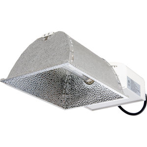 ARC ARC CMH Lighting System w/Lamp (4200K), 315W, 277V