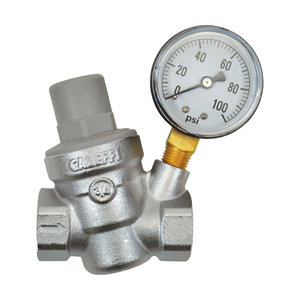 Dilution Solutions / Dosatron Dilution Solutions Pressure Regulator with Gauge, 3/4 in FPT x FPT