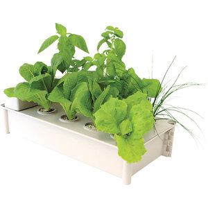 Hydrofarm Salad Box Hydroponic Salad Garden Kit