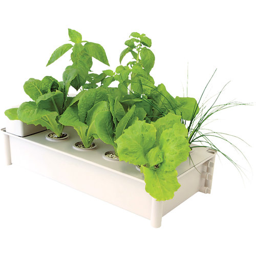 Hydrofarm Salad Box Hydroponic Salad Garden Kit