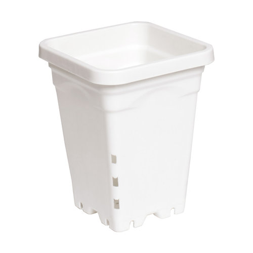 Active Aqua Active Aqua 5" x 5" Square White Pot, 7" Tall, case of 100