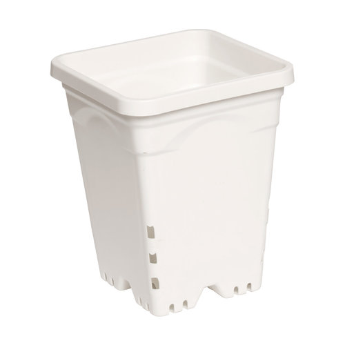 Active Aqua Active Aqua 7" x 7" Square White Pot, 9" Tall, case of 50