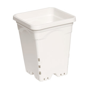 Active Aqua Active Aqua 6" x 6" Square White Pot, 8" Tall, case of 50