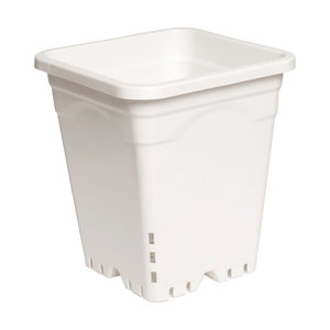 Active Aqua Active Aqua 9" x 9" Square White Pot, 10" Tall, case of 24