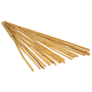 GROW!T GROW!T 2' Bamboo Stakes, Natural, pack of 25