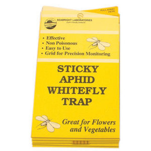 Seabright Laboratories Seabright Laboratories Aphid/Whitefly Traps, 5 pack
