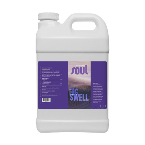 Soul Soul Big Swell, 2.5 gal