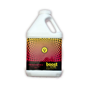 Vegamatrix Vegamatrix Boost, 1 qt