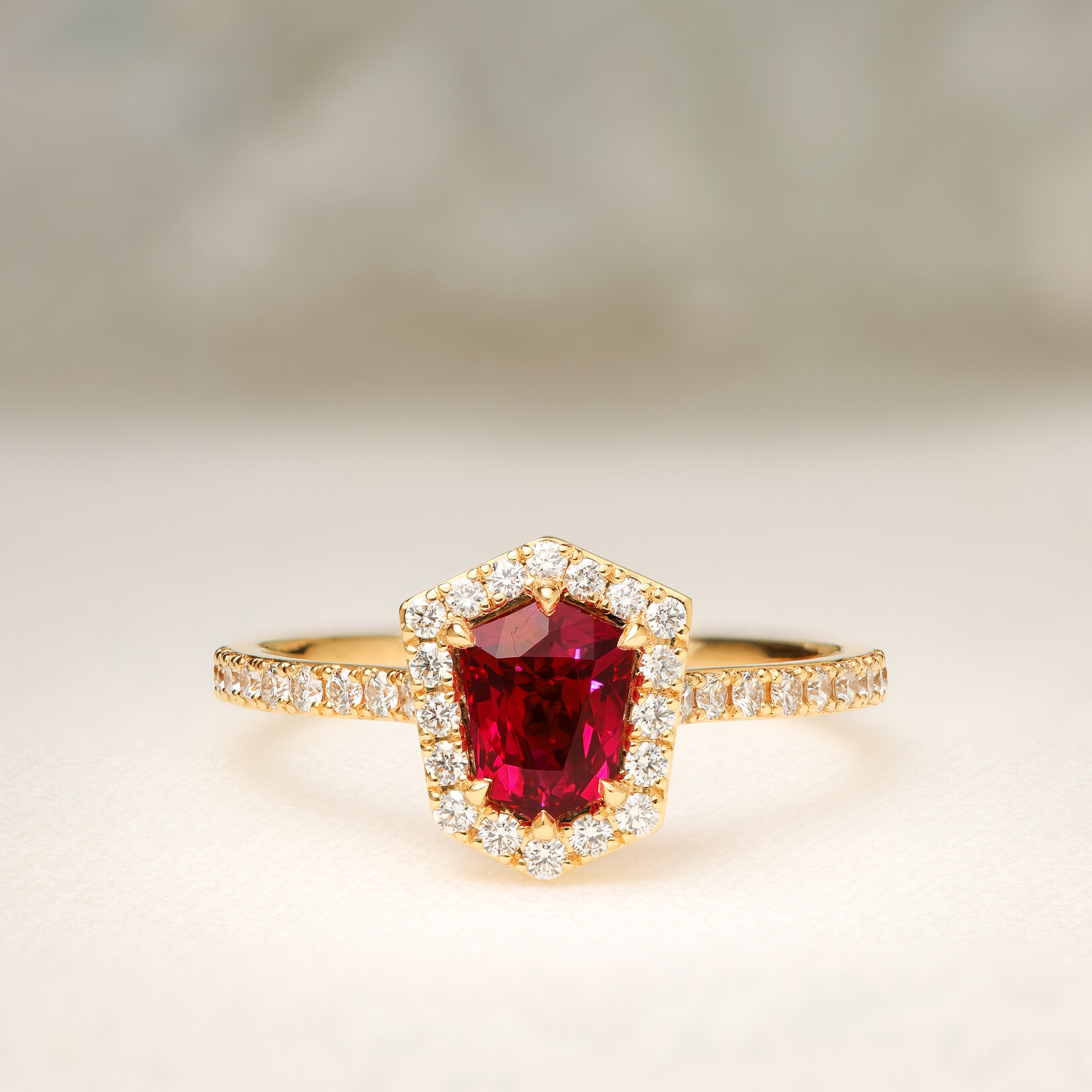Baxter Moerman Kinsley Ring with Ruby Shield