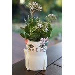 Baby Pretty Kitty Planter