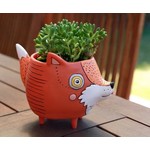 Foxy Planter